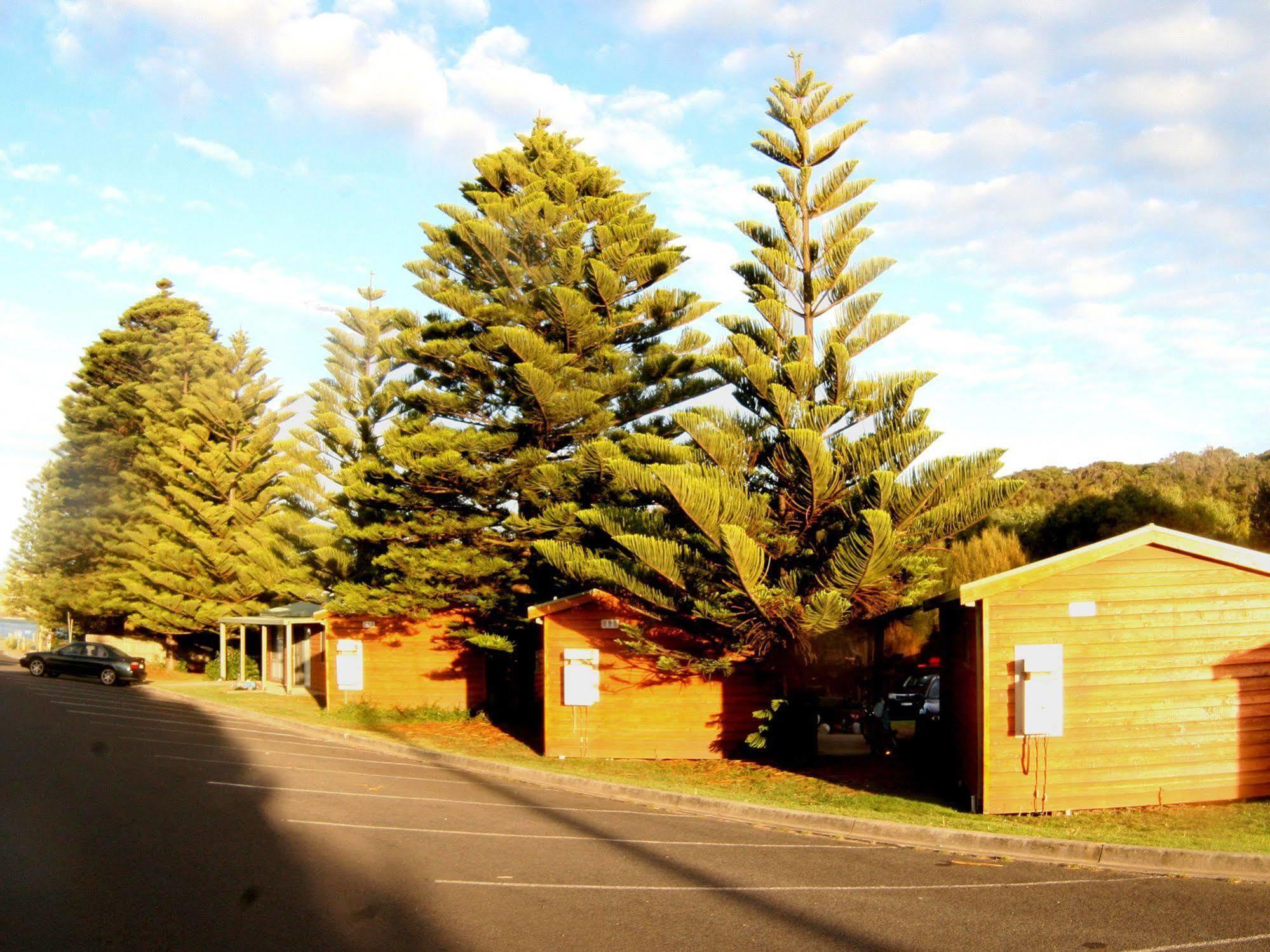 Nrma Port Campbell Holiday Park Εξωτερικό φωτογραφία